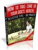 Thumbnail How to Take Care of Your Dogs Health Free PLR Ebook download