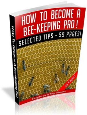 Product picture How to Become a Bee Keeping Pro Free PLR eBooks download