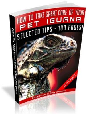Product picture Take Great Care of Your Pet Iguana Free PLR ebook download